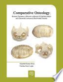Comparative osteology between Trachemys callirostris callirostris (Colombian Slider) and Chelonoidis carbonaria (Red-Footed Tortoise): identification guide for skeletal remains