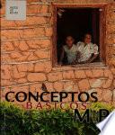 conceptos basicos mip