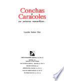 Conchas y caracoles