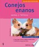 Conejos enanos