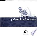Constitución y derechos humanos