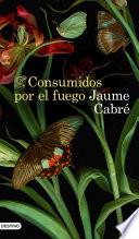 Consumidos por el fuego