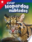 Criar leopardos nublados
