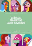 Críticas feministas, LGBTs e queers