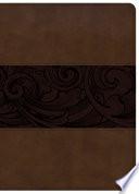 CSB Study Bible, Mahogany LeatherTouch, Indexed
