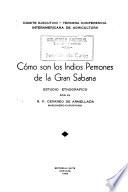 Cuadernos verdes