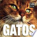 Cube Book: Gatos