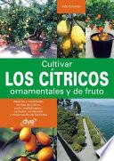 Cultivar los cítricos ornamentales y de fruto