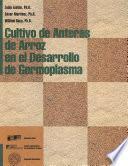 Cultivo de anteras de arroz en el desarrollo de germoplasma