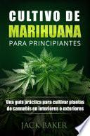 Cultivo De Marihuana Para Principiantes