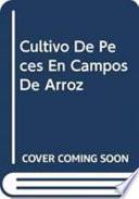 Cultivo de peces en campos de arroz