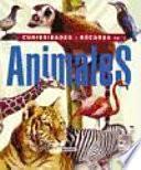 Curiosidades y récords de los animales