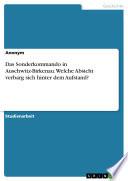 Das Sonderkommando in Auschwitz-Birkenau. Welche Absicht verbarg sich hinter dem Aufstand?