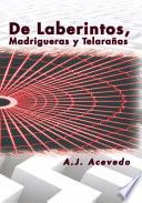De Laberintos, Madrigueras Y Telarañas