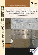 Derecho penal constitucional. Las garantías