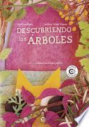 Descubriendo los árboles