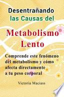 Desentrañando las Causas del Metabolismo Lento