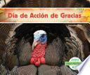 Día de Acción de Gracias (Spanish Version)