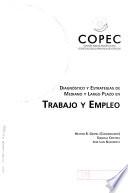 Diagnóstico y estrategias de mediano y largo plazo en trabajo y empleo