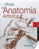 Dibujo de anatomía artística