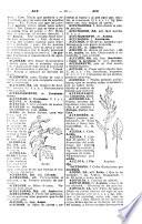 Diccionario manual e ilustrado de la lengua española