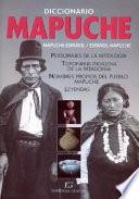 Diccionario mapuche-castellano, castellano-mapuche