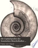 Die Cephalopoden des bosnischen Muschelkalkes von Han Bulog bei Sarajevo