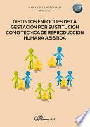 Distintos enfoques de la gestación por sustitución como técnica de reproducción humana asistida