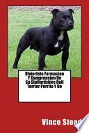 Diviertete Formacion Y Comprension De Su Staffordshire Bull Terrier Perrito Y De