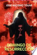 Domingo De Resurrección