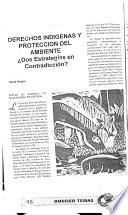 Dossier Temas
