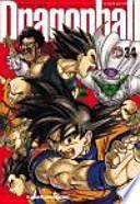Dragon Ball 34