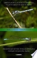 Dragonflies of the Yungas (Odonata)