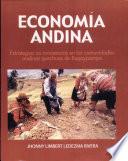 Economía andina