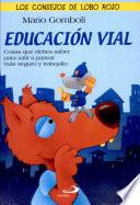 EDUCACIÓN VIAL