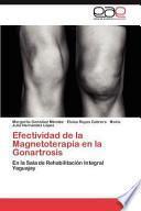 Efectividad de la Magnetoterapia en la Gonartrosis