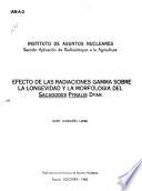 Efecto de las radiaciones gamma sobre la longevidad y la morfología del Sacadodes pyralis Dyar