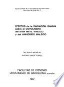 Efectos de la radiación gamma sobre el copolímero del éter metil vinílico y del anhídrido maleico