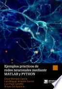 Ejemplos prácticos de redes neuronales mediante MATLAB y PYTHON