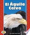 El Águila Calva (The Bald Eagle)