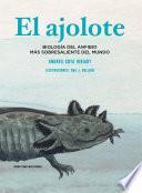 El ajolote