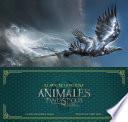 El arte de la película. animales fantásticos y dónde encontrarlos