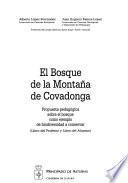 El bosque de la Montaña de Covadonga