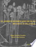 El Bosque Petrificado de Olta