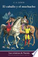 El caballo y el muchacho
