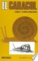 El caracol