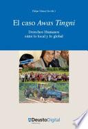 El caso Awas Tingni