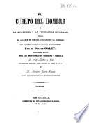 El cuerpo del hombre