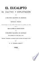 El eucalipto