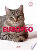 El gato Europeo